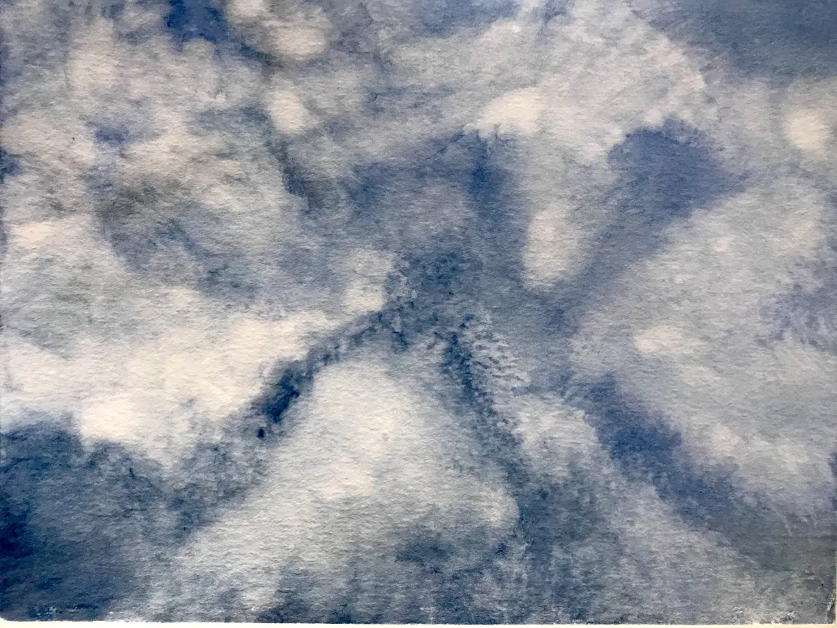 Fotografie: Baumsilhouette vor einem Abendhimmel über dem Horizont